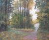 Autumnal forest