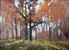 Autum forest